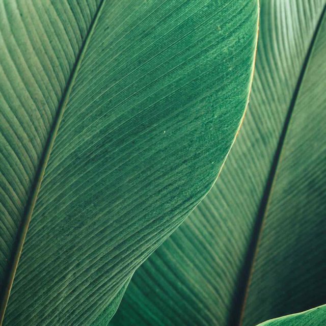 https://kultureinstitute.com/wp-content/uploads/2021/09/background_image_04-640x640.jpg